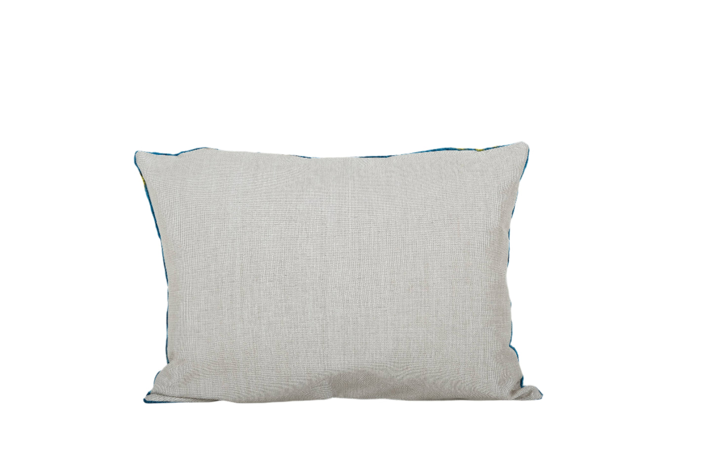 Zebra Silk Ikat Velvet Pillows Pair