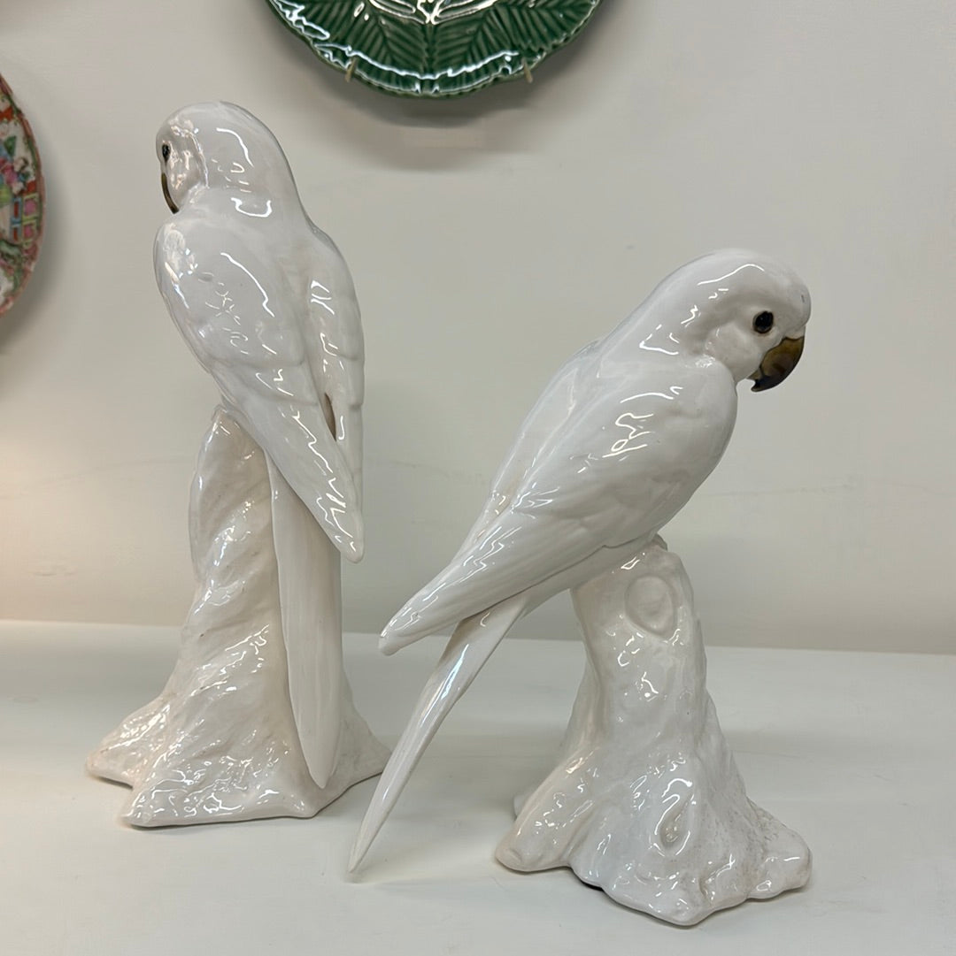 Vintage pair of Freeman & McFarlin Ceramic Parrots
