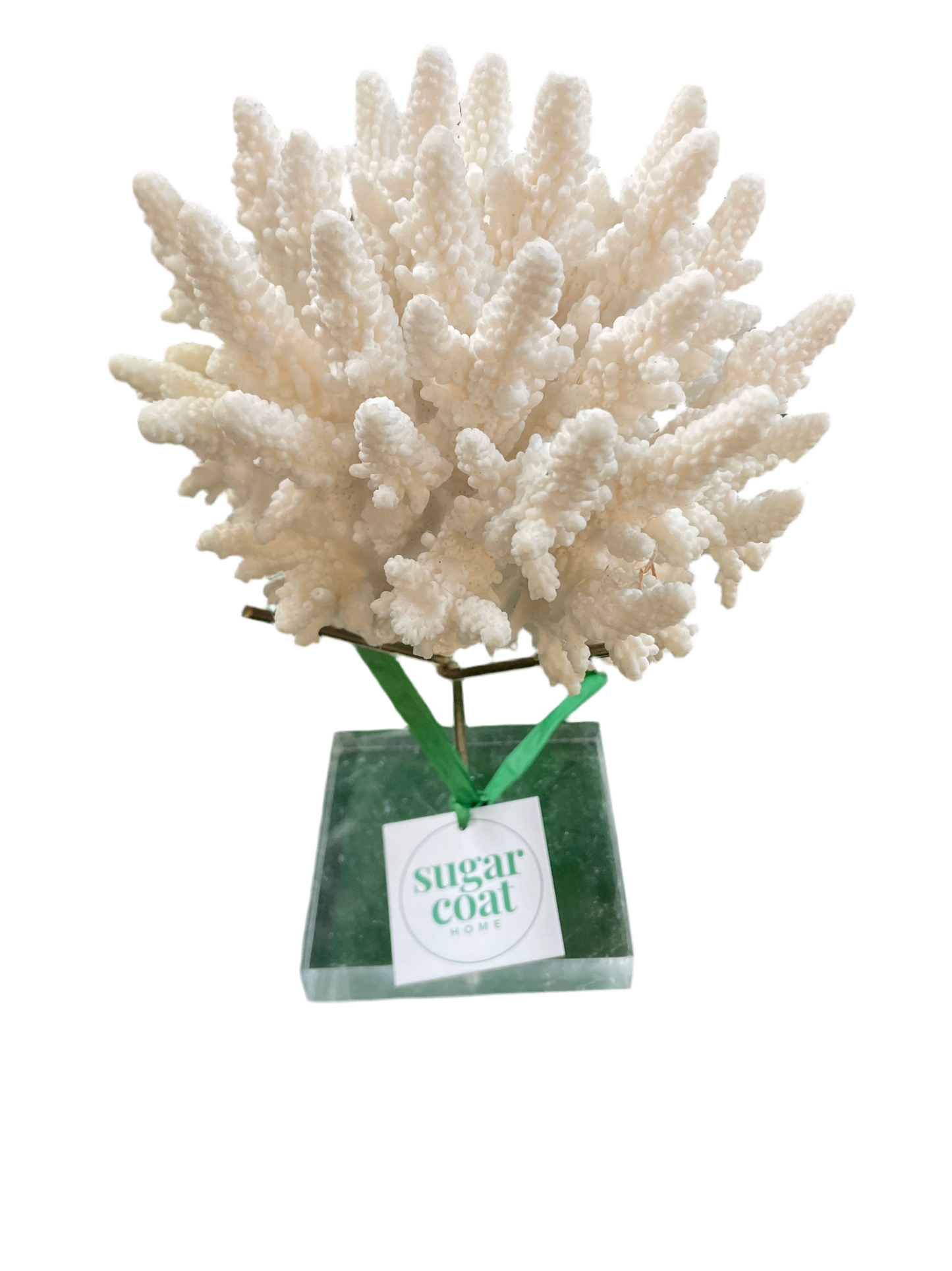 Genuine Natural Coral Specimen on Stand