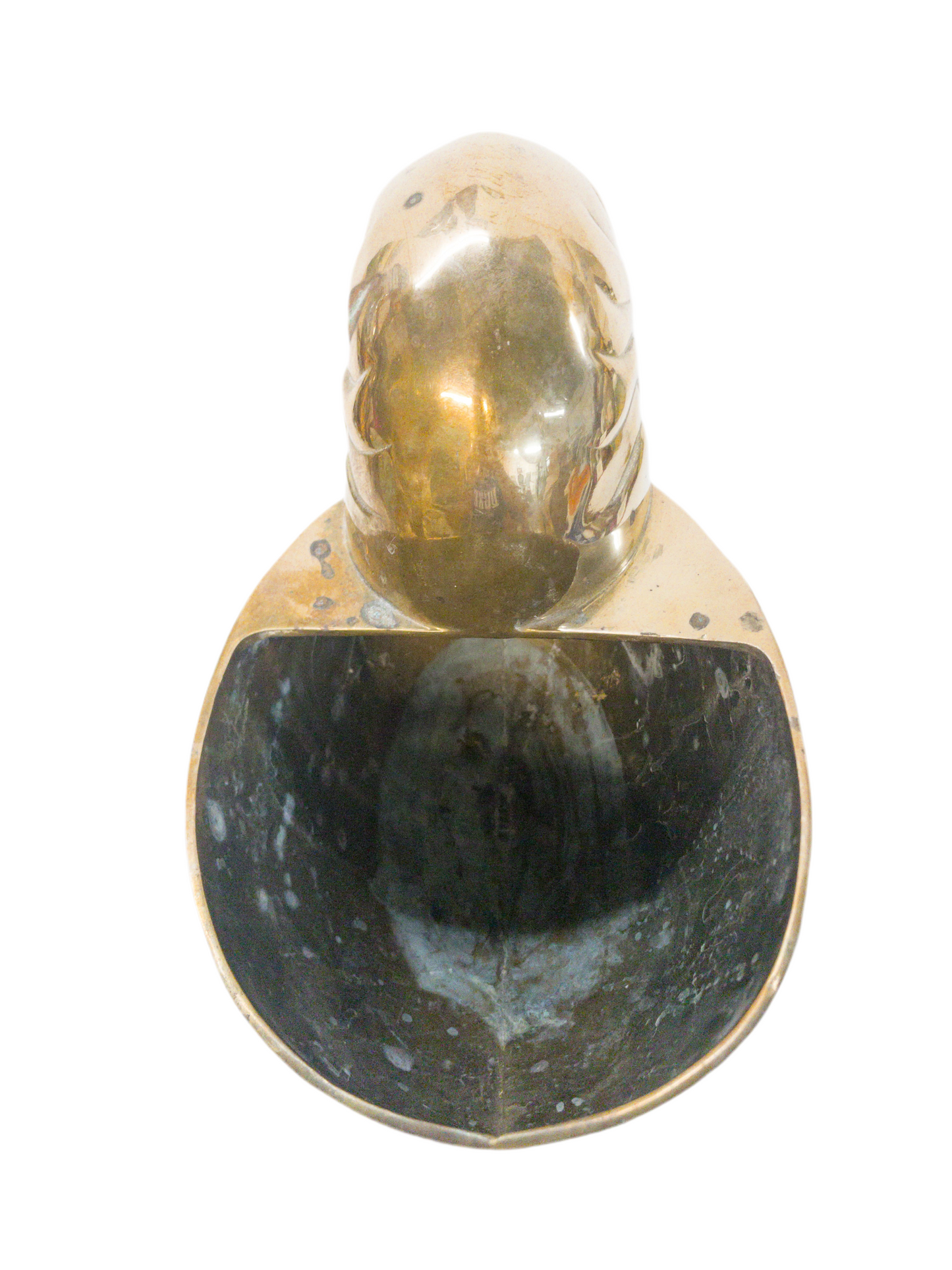 Brass Nautilus Planter