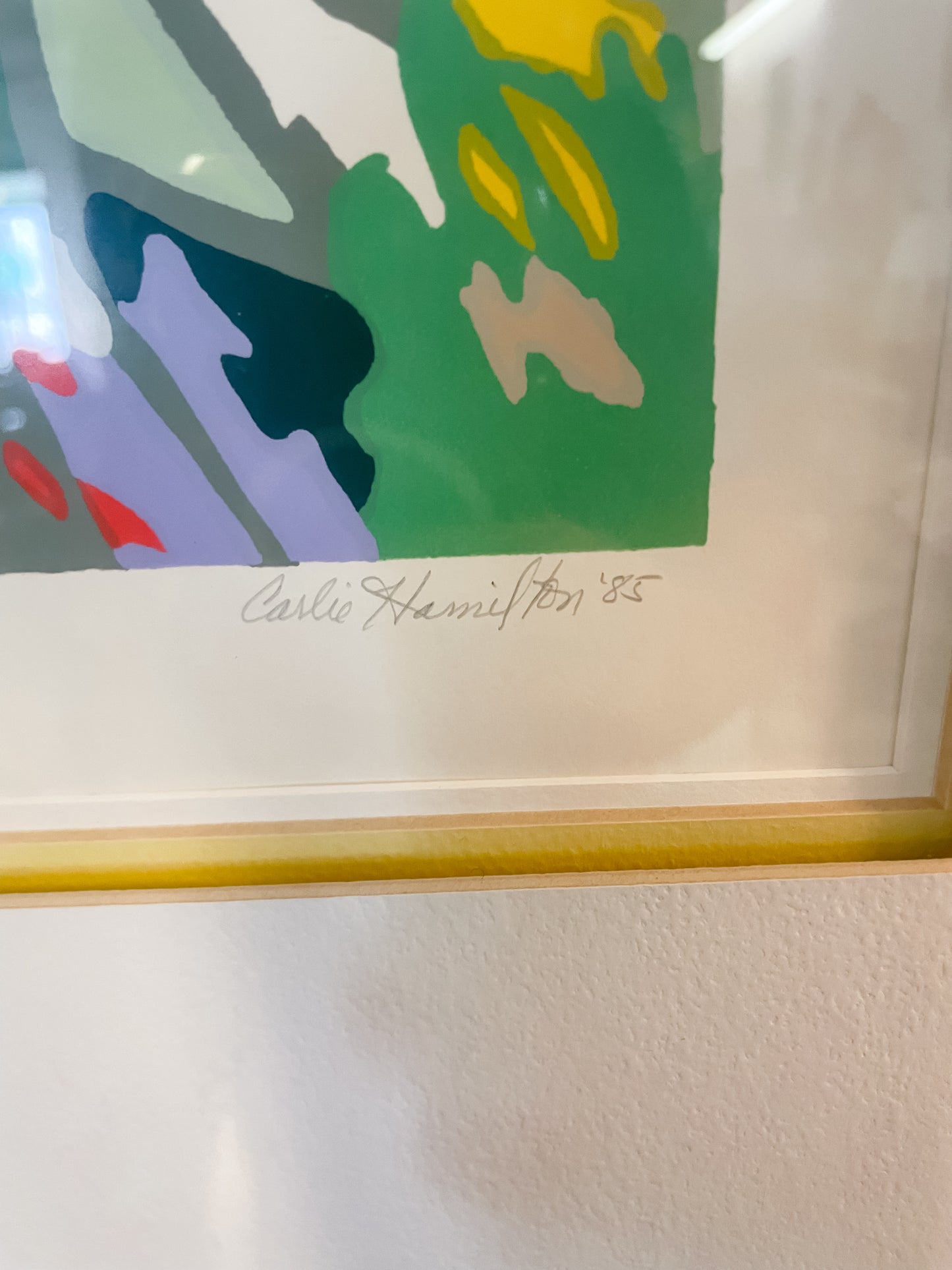 American Flowerscape by Carlie Hamilton Framed Art