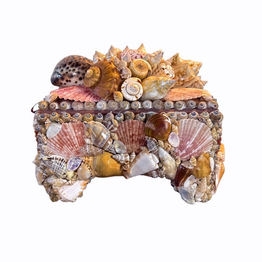 Seashell Encrusted Box