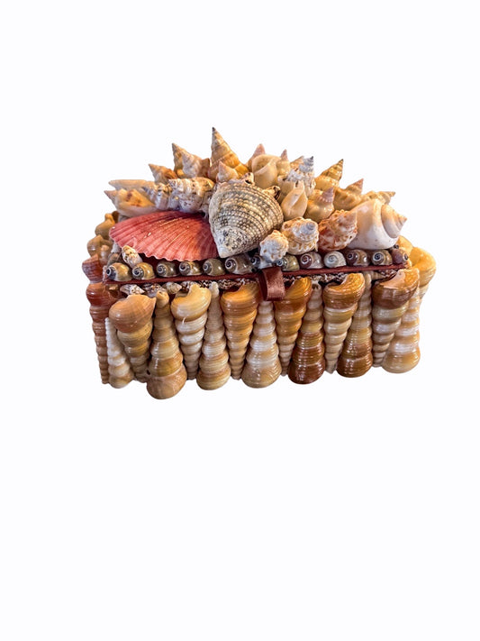 Small Seashell Encrusted Box
