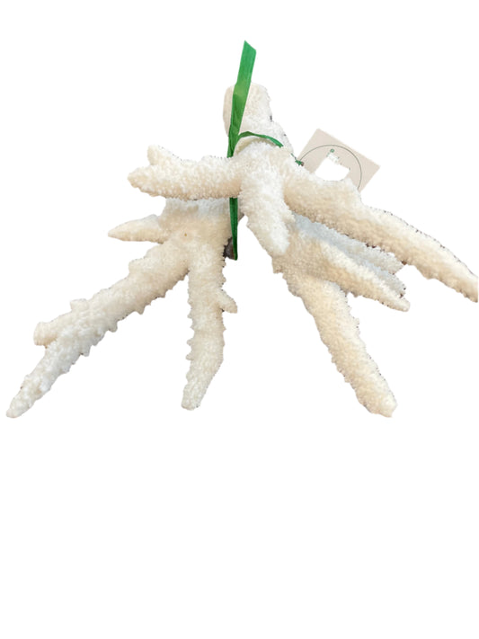 Genuine coral specimen