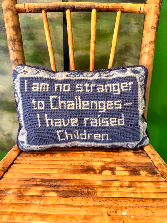 Vintage Needlepoint Pillow