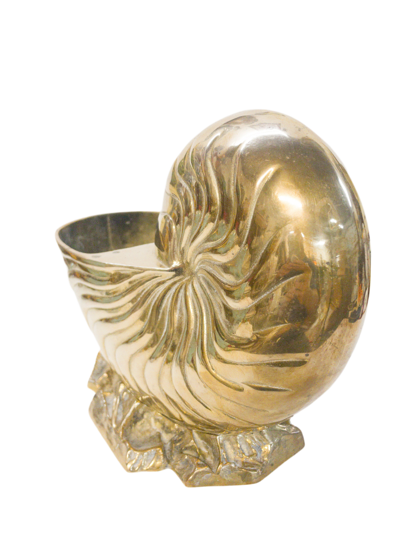 Brass Nautilus Planter