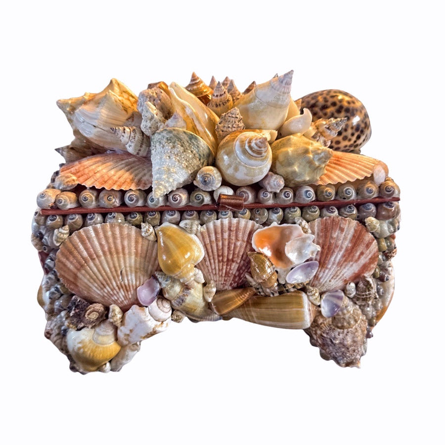 Large Seashell Encrusted Box