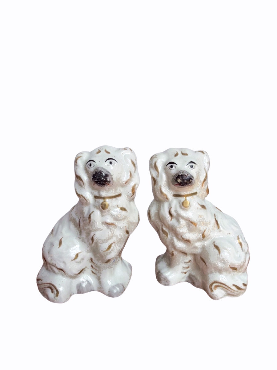 Pair of Antique Staffordshire Spaniel Companion Dogs with Gold Collar